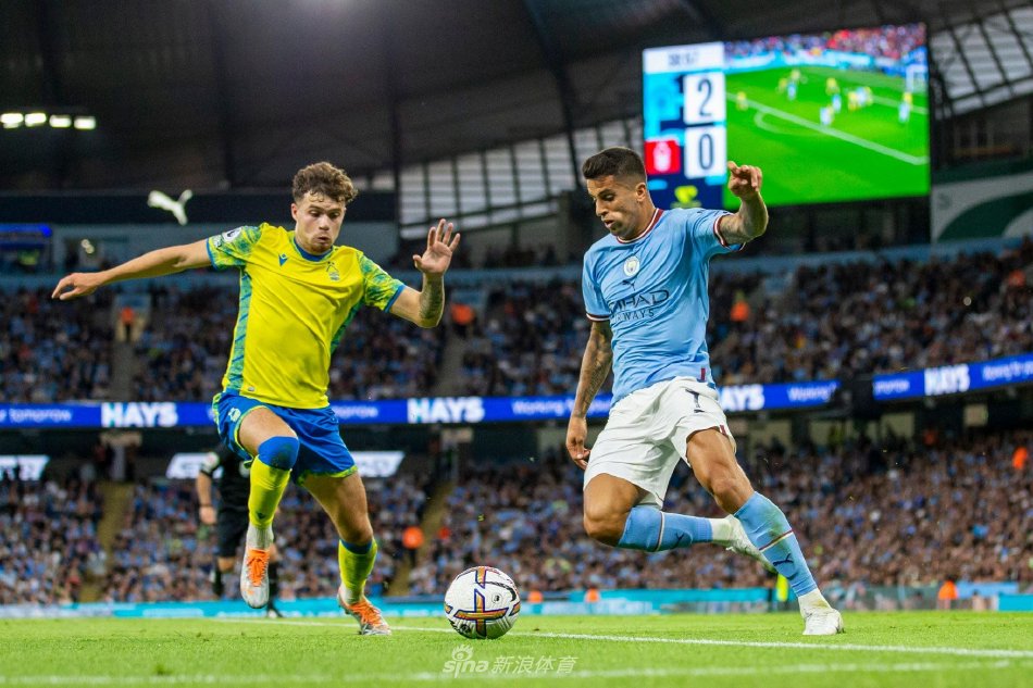 只有将这些 只有将这些